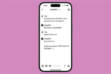 Chat GTP Translating Languages 的图像结果