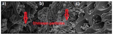 Chitosan-Modified Biochars to Advance Research on Heavy Metal Ion ...