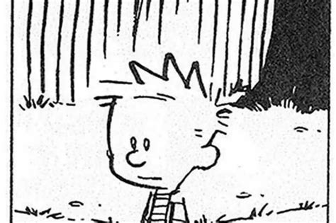 19 Things Calvin And Hobbes Got Bang-On About Life