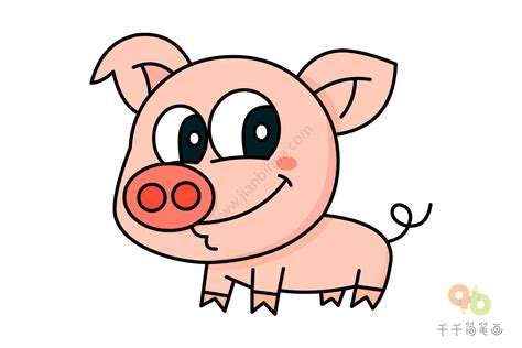 网红宠物猪取名字好听的小猪起名字 - 五行知识网