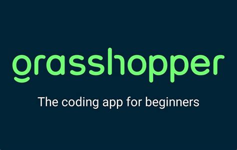 Grasshopper Coding 的图像结果