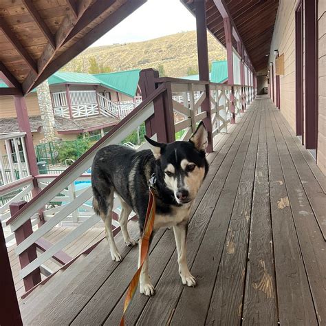 ABBYCREEK INN (Winthrop) - Hotel Reviews, Photos, Rate Comparison ...