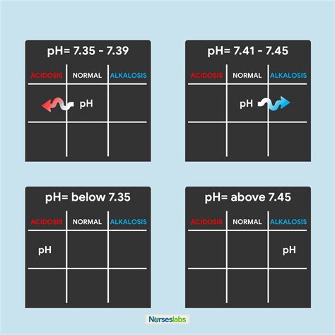 Arterial Blood Gas (ABGs) Analysis Ultimate Guide - Nurseslabs