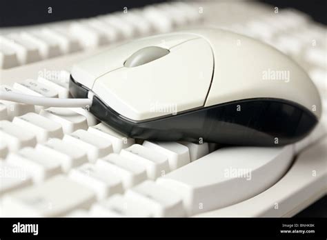 Image result for Computer Keyboard and Mouse