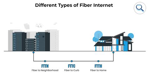 Different Types Of Fiber Networks at Holly Brough blog