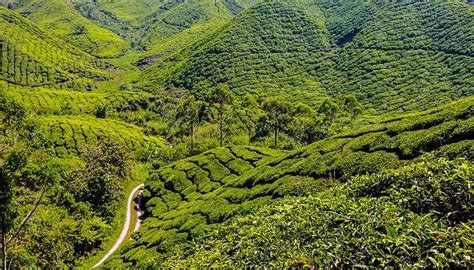 Malaysia in July 2026: Best Places & Things to Do