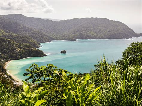 Tradition 的图像结果