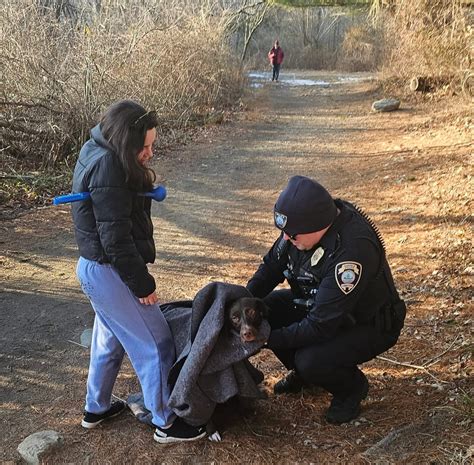 Dog saved after falling through ice at Lake Mohegan in Fairfield