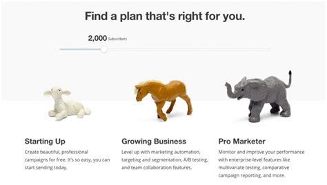 Image result for Software Subscription Models