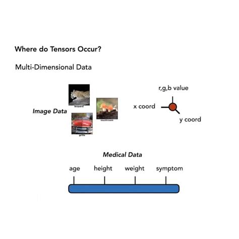 Image result for Tensor Computing