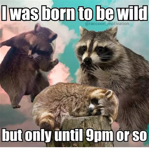 Born Free Memes