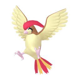 Image result for Pidgeotto Evolution Levels