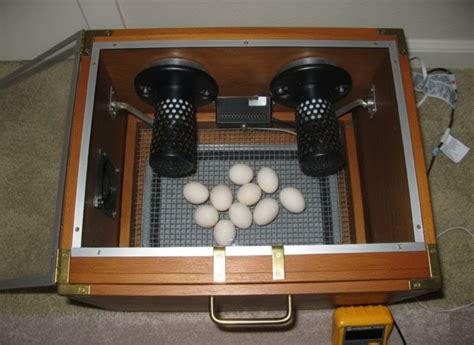 Image result for Generative Ai Courses