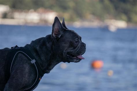 Instagram+Girls+Twerking Photos, Download The BEST Free Instagram+Girls+Twerking Stock Photos ...