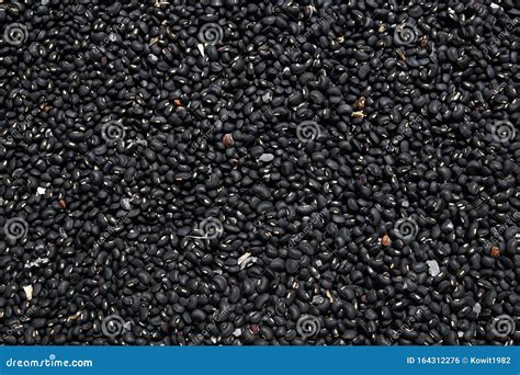 Black Bean and Seed Pod, is Raw Food Stock Photo - Image of fresh ...