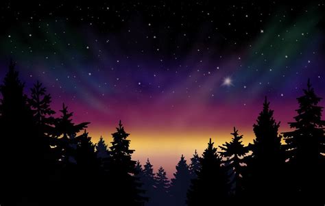 Sketchbook Tutorial 的图像结果