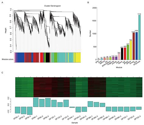 The Grapevine Transcription Factor VvTGA8 Enhances Resistance to White ...