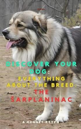 Buy Discover your dog: Everything about the breed: The Sarplaninac Book ...