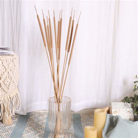 Cattail Stem For Decor Online - Premium Dried Flower Stick | Nestasia