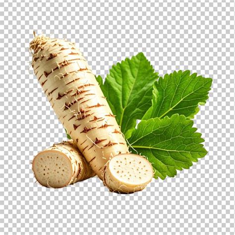 Horseradish with grated root in closeup on transparent background ...