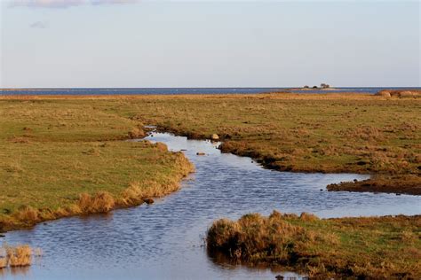 Image result for Native Reserve