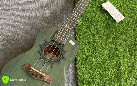 Image result for Beginner Four String Guitar Lessons