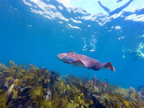 ECOTREASURES (2026) All You Need to Know BEFORE You Go (with Photos ...