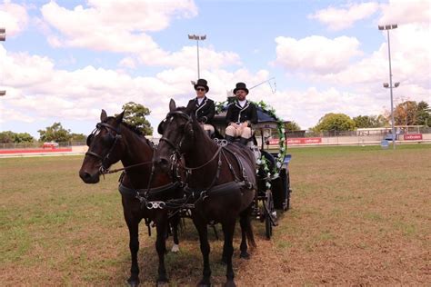 Maitland Park - Easter Monday, Maitland Park, 1 April 2024 | AllEvents