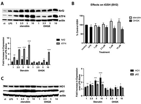 Structural Requirements for the Neuroprotective and Anti-Inflammatory ...