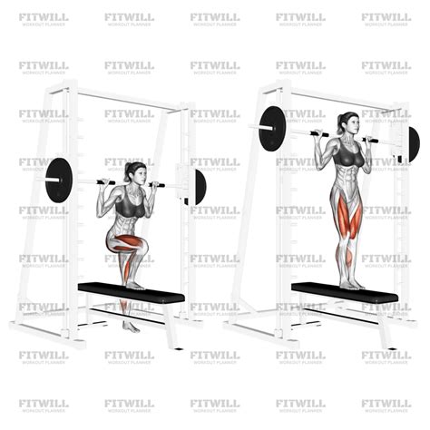 Image result for Lateral Step-Up Exercise Muscles Worked