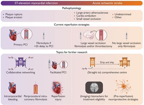PCI Treatment 的图像结果