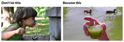 Image result for Is Mussel Is Bad When Is Open