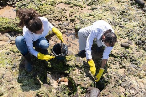 Salvador bahia brazil october 27 2019 two volunteers are cleaning the ...