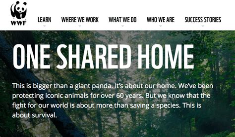 Image result for Drupal Examples