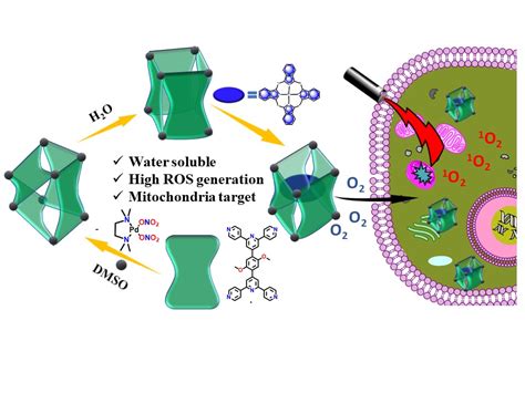 P S Mukherjee Publications