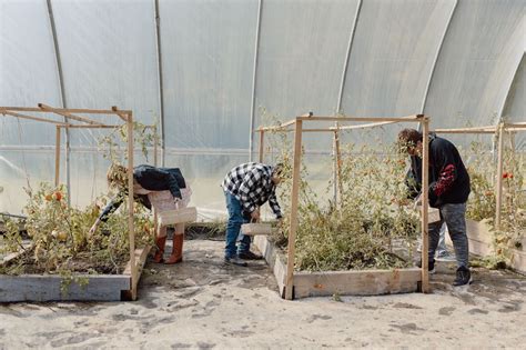 Helvetia: ein Schweizer Dorf in den USA mit Fasnacht und Urdemokratie