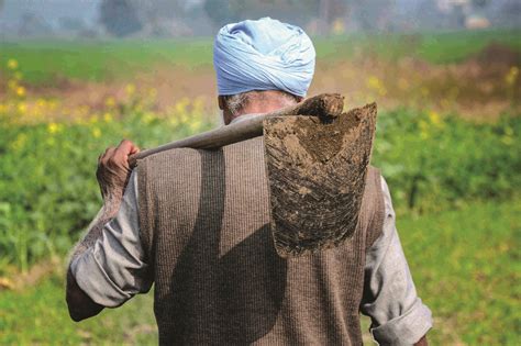 Allied farm, food processing sectors get further impetus