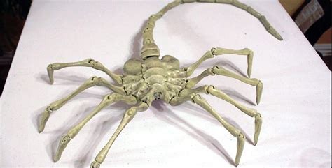 Image result for Alien Facehugger Types