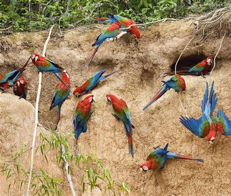 PTO MALDONADO VIAJES (2026) All You Need to Know BEFORE You Go (with ...