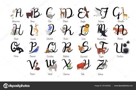 Set Con Alfabeto Inglés Completo Con Nombres Animales Dibujado Mano ...