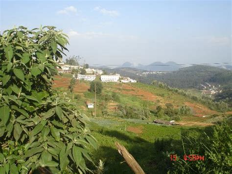 Coonoor Photos - Featured Images of Coonoor, The Nilgiris District ...
