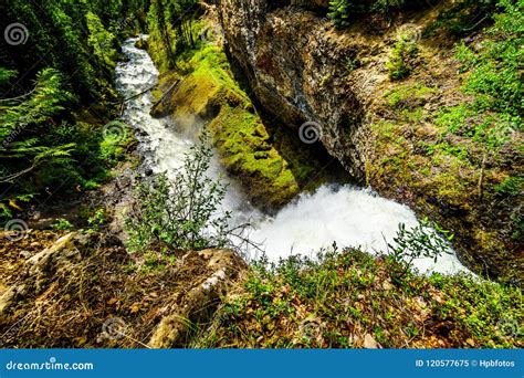 Grouse Creek in Wells Gray Provincial Park, British Columbia, Can Stock ...