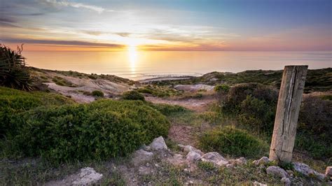 Spring Beach Vacation 的图像结果