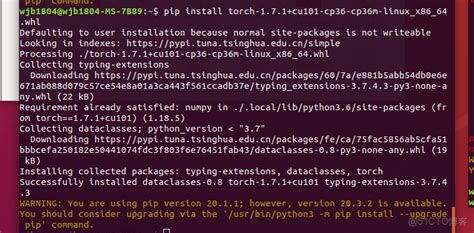 Python Pytorch Compatibility 的图像结果