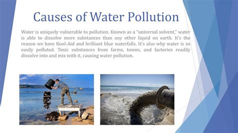 PPT - Water Pollution PowerPoint Presentation, free download - ID:7968944