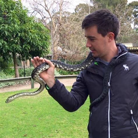 Image result for CPython Internals