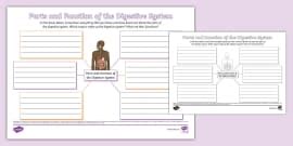 KS2 1980s Mind Map,1980s (teacher made) - Twinkl