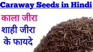 Caraway Seeds in Hindi: शाही जीरा के जबरदस्त फायदे - Sundarta