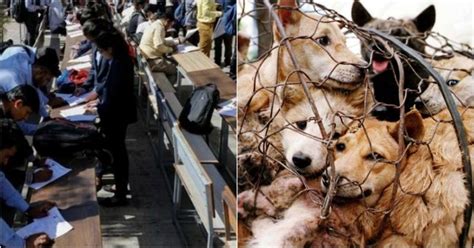 Unemployment Up During Lockdown; Stricter Animal Abuse Laws Soon + More ...