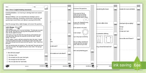 Year 2, Term 4 Reading Assessment